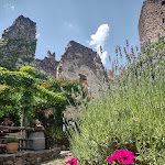 Photo n°2 de l'avis de Carolien. fait le 12/07/2023 à 19:27 sur le  Burgschenke Hocheppan à Eppan an der Weinstraße