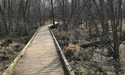 Endicott Park