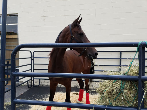Home Improvement Store «Tractor Supply Co.», reviews and photos, 1 Baldwin Blvd STE 23, Shamokin Dam, PA 17876, USA