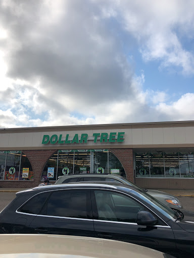 Dollar Store «Dollar Tree», reviews and photos, 1941 W Grand River Ave #101, Okemos, MI 48864, USA