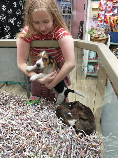 Pet Store «Animal House», reviews and photos, 7869 Hamilton Ave, Cincinnati, OH 45231, USA