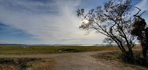 Plum Island Lighthouse - photo 7