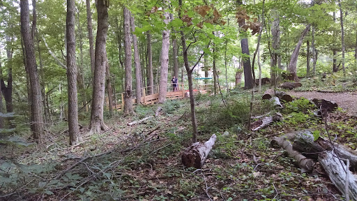 Recreation Center «Go Ape Zip Line & Treetop Adventure - Eagle Creek Park», reviews and photos, 5855 Delong Rd, Indianapolis, IN 46254, USA