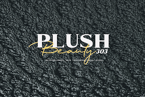 Plush 303 Beauty-Microblading & Plasma Skin Tightening image