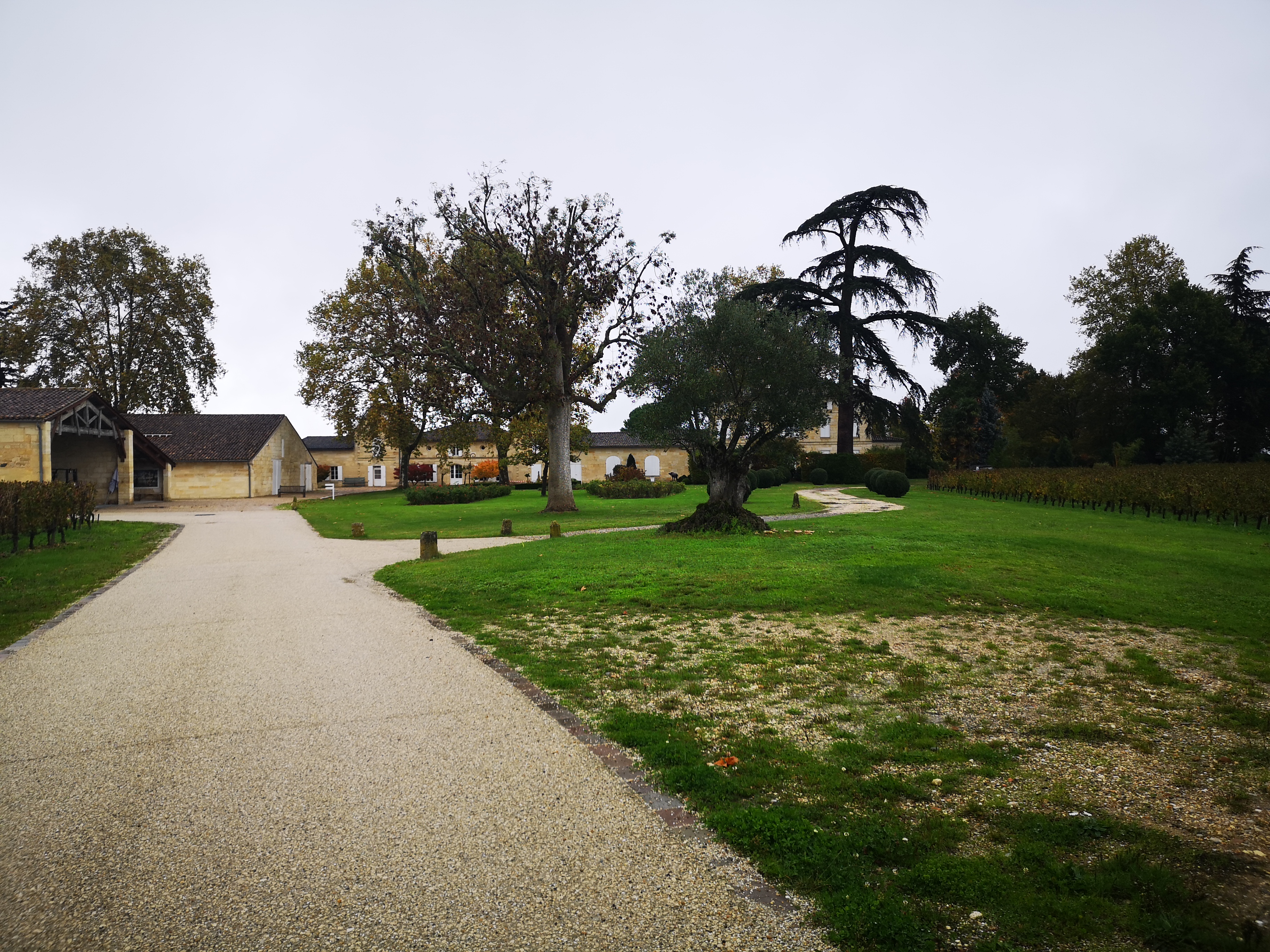 Photo n° 1 de l'avis de Ale.e fait le 12/11/2019 à 18:55
