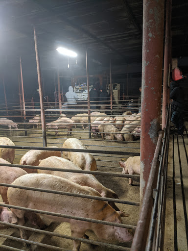 Meat Wholesaler «Lizze Custom Processing», reviews and photos, 7310 Pine Ave, Chino, CA 91708, USA