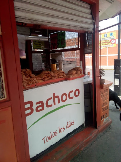 Pollos Bachoco