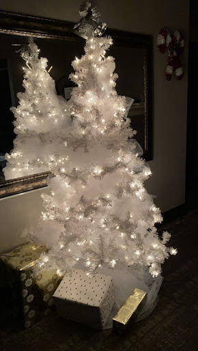 Adult Entertainment Club «Trapeze», reviews and photos, 4470 Commerce Dr SW # A, Atlanta, GA 30336, USA