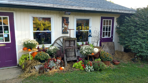 Winery «Dalice Elizabeth Winery», reviews and photos, 6 Amos Rd, Preston, CT 06365, USA