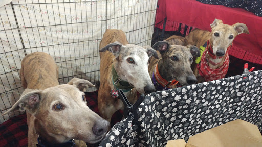 Sports Complex «All Star Family Fun & Events», reviews and photos, 2638 Emmitsburg Rd, Gettysburg, PA 17325, USA