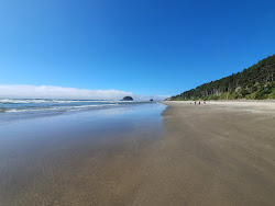 Arcadia Beach'in fotoğrafı doğal alan içinde bulunmaktadır