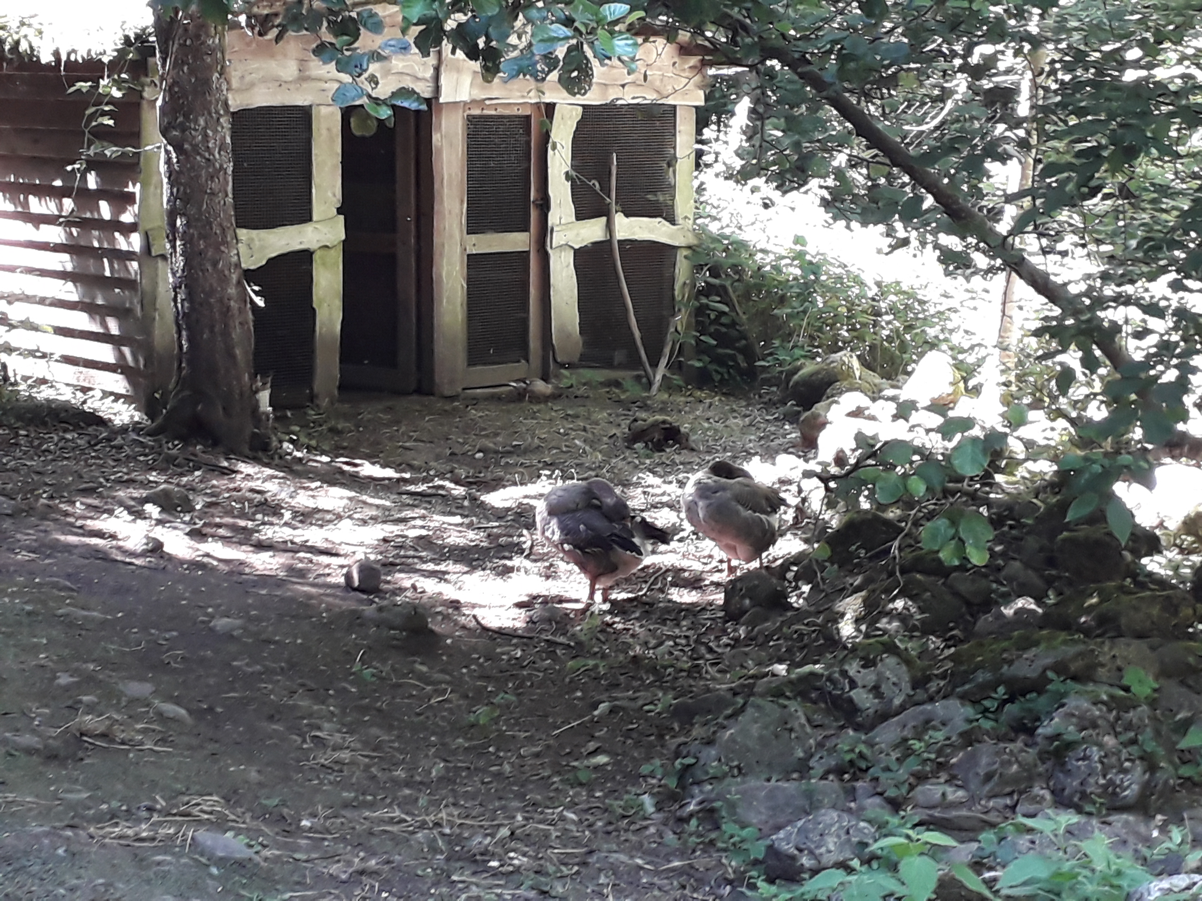 Photo n° 10 de l'avis de Franck.i fait le 19/07/2020 à 15:45