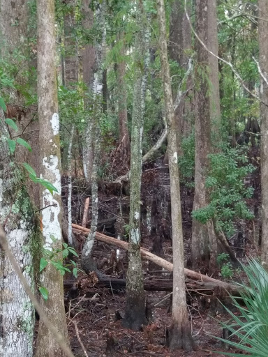 Golf Club «Summertree Golf Club», reviews and photos, 11816 Paradise Point Way, New Port Richey, FL 34654, USA