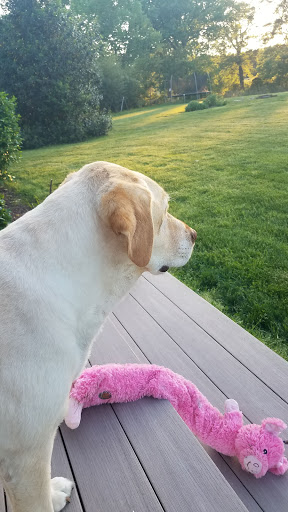 417 Goldsborough St, Easton, MD 21601, USA