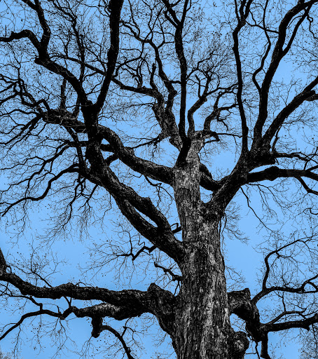 Park «Quanah Parker Park», reviews and photos, 5401 Randol Mill Rd, Fort Worth, TX 76103, USA