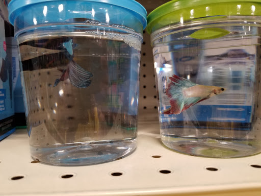 Pet Supply Store «PetSmart», reviews and photos, 5574 West Grand Parkway South, Richmond, TX 77406, USA