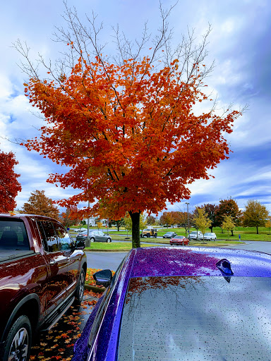 Fast Food Restaurant «Chick-fil-A», reviews and photos, 2230 S Pleasant Valley Rd, Winchester, VA 22601, USA