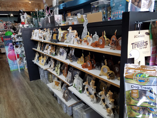 Pet Supply Store «Dog-Mania & Cats», reviews and photos, 37846 Meridian Ave, Dade City, FL 33525, USA