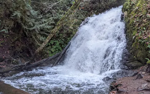 Dickerson Creek Waterfall Trailhead image