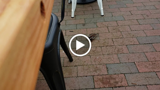 Coffee Shop «Joe Coffee & Cafe», reviews and photos, 170 Commercial St, Provincetown, MA 02657, USA