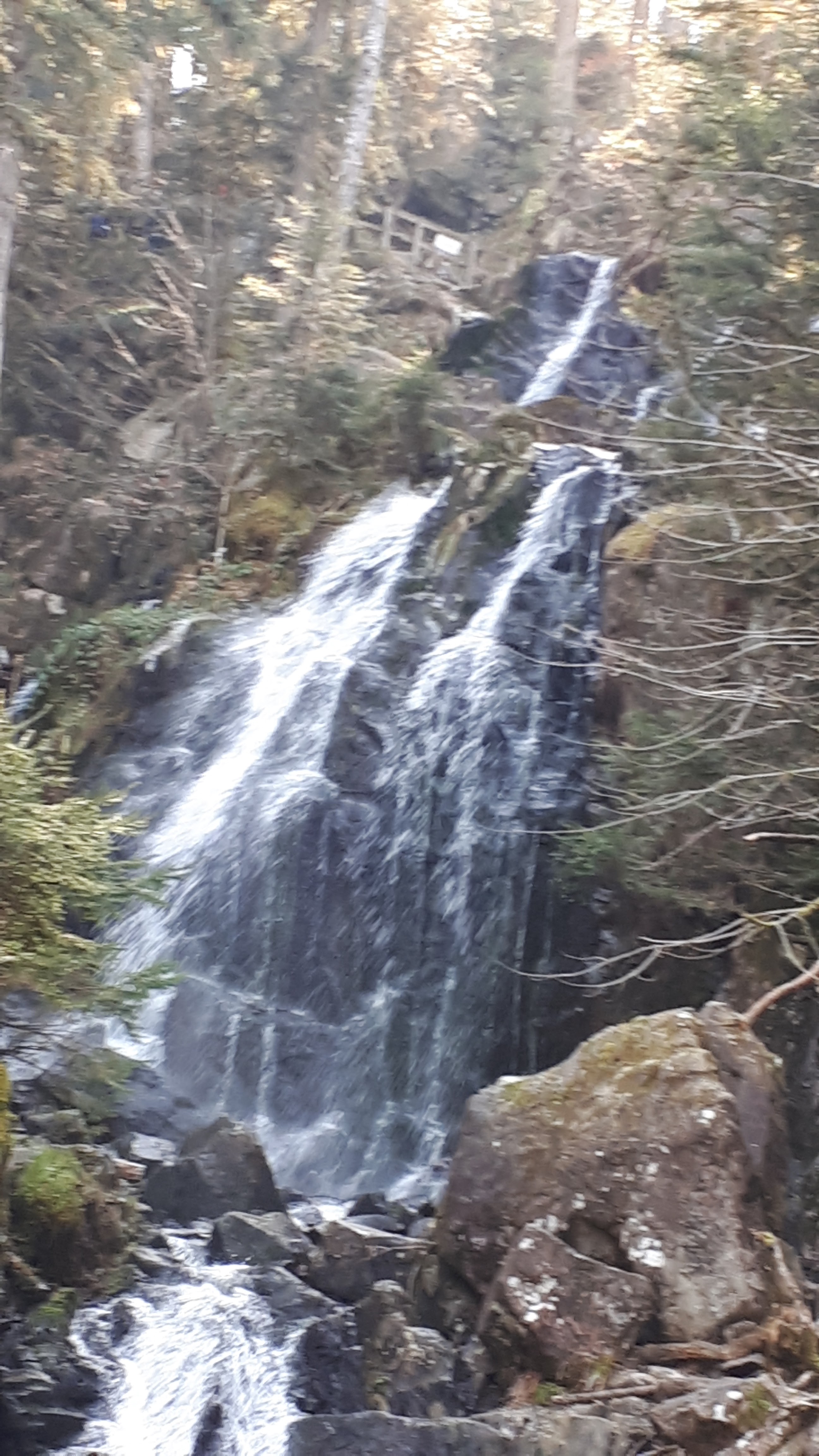 Photo n° 1 de l'avis de Pascal.e fait le 09/03/2021 à 19:54