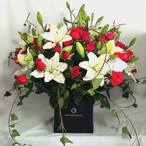 Florería LlevaleFlores.com® – Florerías en Monterrey – Monterrey