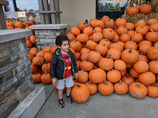 Grocery Store «Safeway», reviews and photos, 24040 Bothell Everett Hwy, Bothell, WA 98021, USA