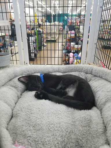 Pet Supply Store «Pet Supermarket», reviews and photos, 938 Semoran Blvd, Casselberry, FL 32707, USA
