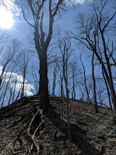 History Museum «West Point Foundry Preserve», reviews and photos, 80 Kemble Ave, Cold Spring, NY 10516, USA