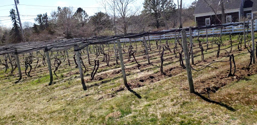 Winery «Truro Vineyards + South Hollow Spirits», reviews and photos, 11 Shore Rd, North Truro, MA 02652, USA