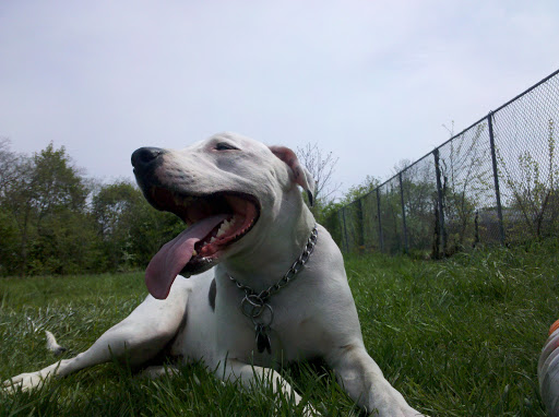 Museum «Queens County Farm Museum», reviews and photos, 73-50 Little Neck Pkwy, Queens, NY 11004, USA