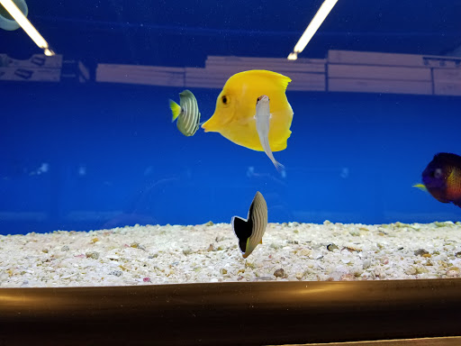 Pet Store «Woofs & Waves», reviews and photos, 5426 Arrowhead Pkwy E, Sioux Falls, SD 57110, USA