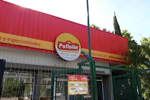Pollolin image