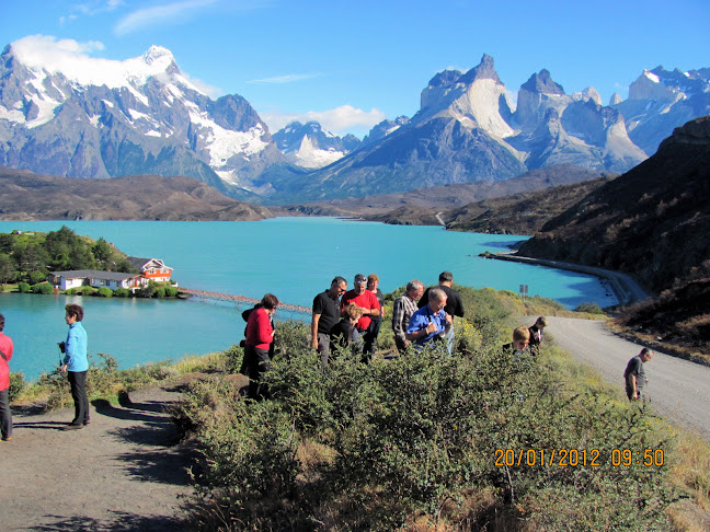 Opiniones de Patagonia Trips Tour Operador en Punta Arenas - Agencia de viajes