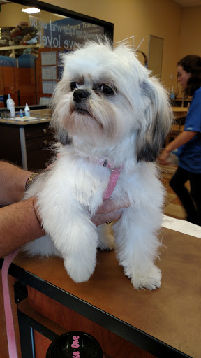 Pet Supply Store «PetSmart», reviews and photos, 640 W 300 N, Warsaw, IN 46582, USA