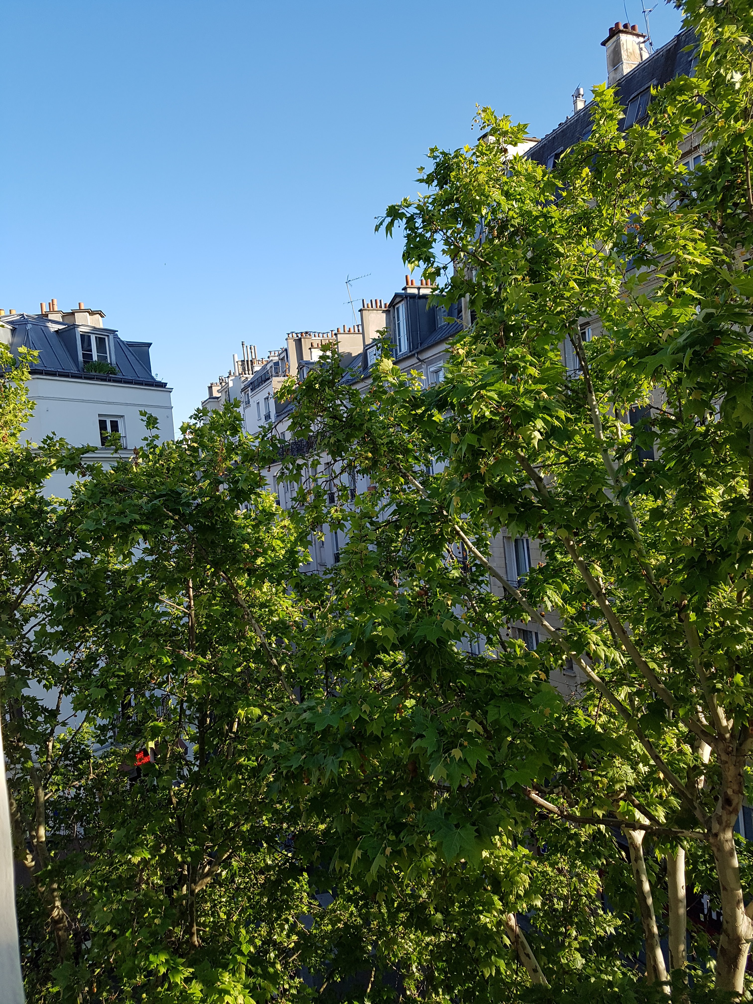 Photo n° 6 de l'avis de David.u fait le 17/05/2019 à 17:58