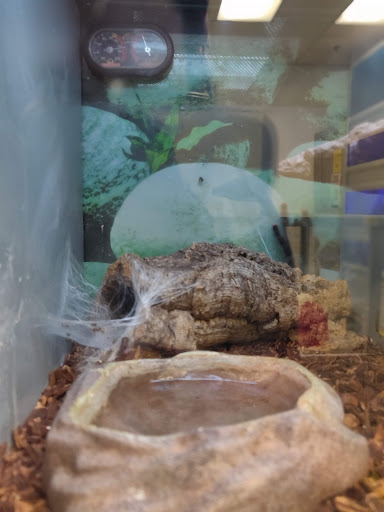 Pet Supply Store «Petsense Fort Worth», reviews and photos, 1408 Eastchase Pkwy #100, Fort Worth, TX 76120, USA