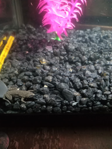 Pet Supply Store «Pet Supplies Plus», reviews and photos, 30450 Lakeshore Blvd, Willowick, OH 44095, USA