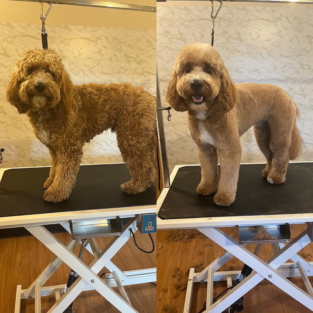 Woofy's Dog Grooming Studio