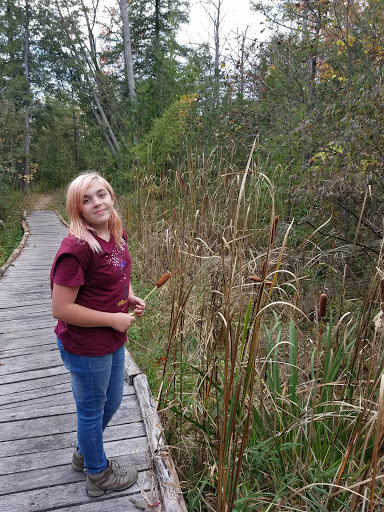 Nature Preserve «Teichner Preserve: The Leelanau Conservancy», reviews and photos, 5234 S Lime Lake Rd, Cedar, MI 49621, USA