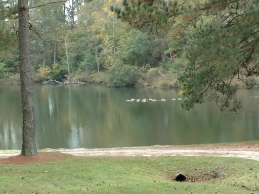 Vineyard «Lu Mil Vineyard», reviews and photos, 438 Suggs-Taylor Rd, Elizabethtown, NC 28337, USA