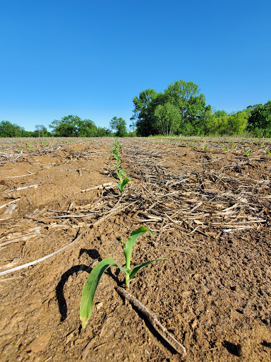 State Park «Monmouth Battlefield State Park», reviews and photos, 16 Business Route 33, Manalapan Township, NJ 07726, USA