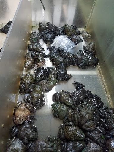 Supermarket «A & A Supermarket», reviews and photos, 6545 Stockton Blvd, Sacramento, CA 95823, USA