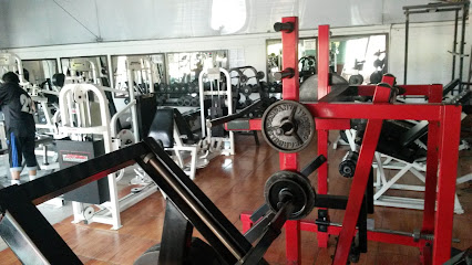 SPORT FITNESS GYM