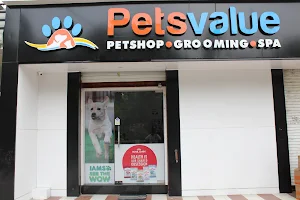 Pets Value-Best Pet Shop/Dog Shop/Dog Shop Near Me image