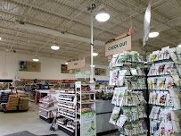 Southern States - Mebane - Photo 2 - Car repair in Mebane, NC, Burlington