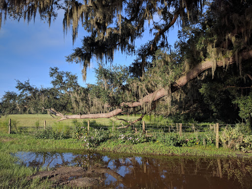 Theme Park «TreeHoppers Aerial Adventure Park», reviews and photos, 27839 St Joe Rd, Dade City, FL 33525, USA