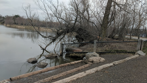 Golf Course «Fresh Pond Golf Course», reviews and photos, 691 Huron Ave, Cambridge, MA 02138, USA