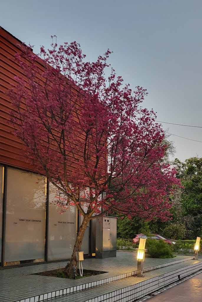 月眉糖廠餐廳 的照片