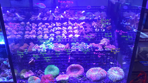 Pet Store «Emerald Bay Fish & Reptile», reviews and photos, 3810 Old Hickory Blvd, Old Hickory, TN 37138, USA